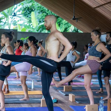 Ubuntu Bali Eco Yoga Retreat - Canggu Exteriér fotografie
