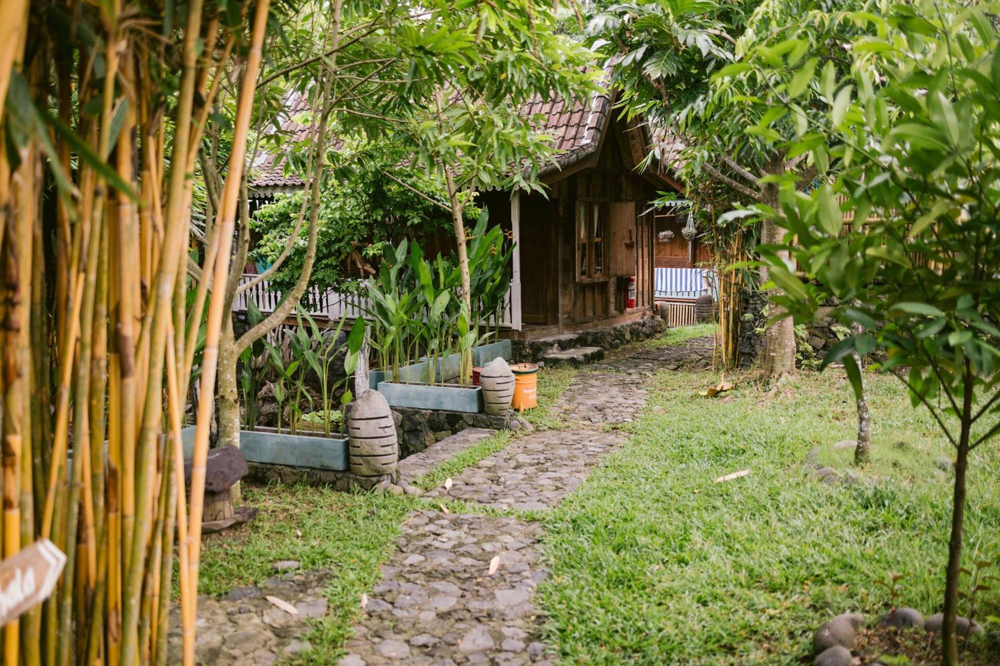 Ubuntu Bali Eco Yoga Retreat - Canggu Exteriér fotografie
